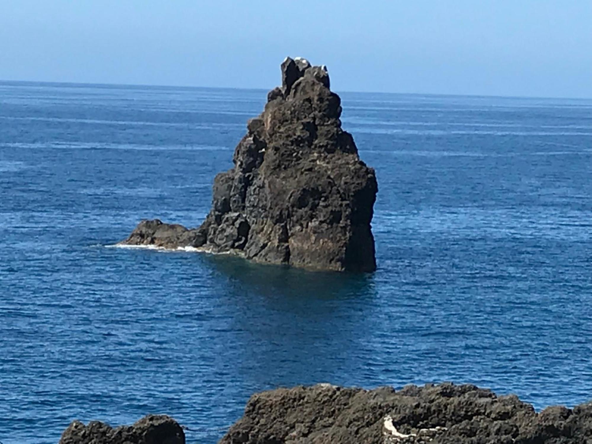 Apartamentos Do Mar Funchal Екстериор снимка