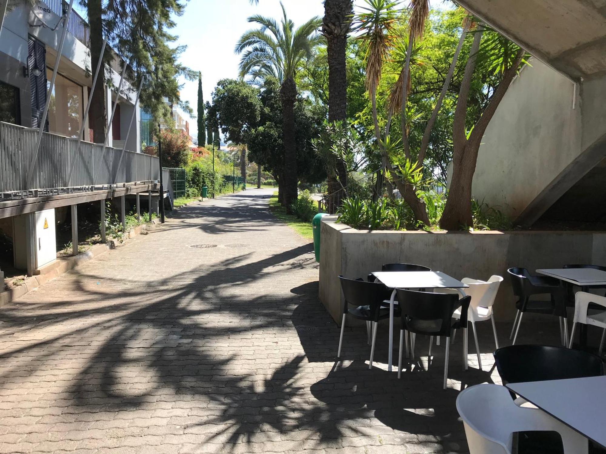 Apartamentos Do Mar Funchal Екстериор снимка