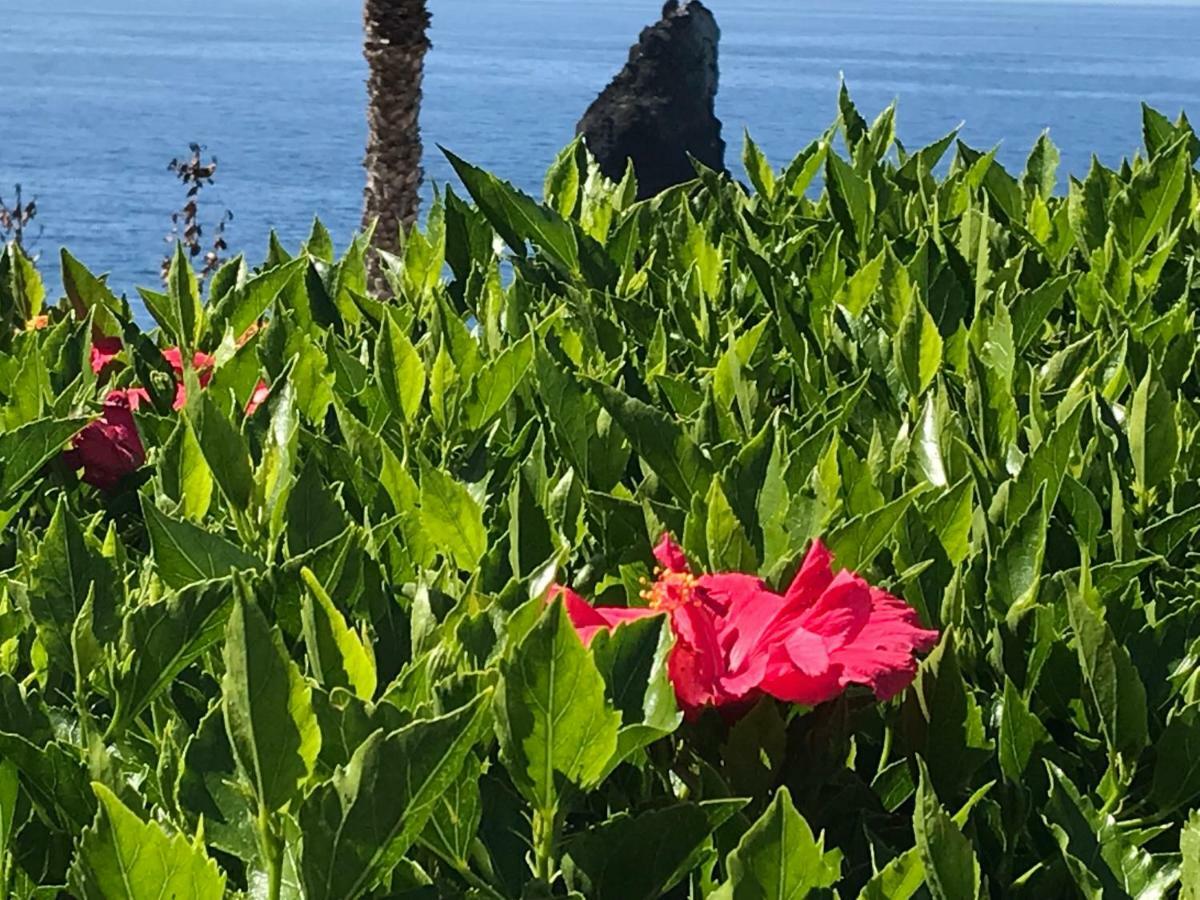 Apartamentos Do Mar Funchal Екстериор снимка